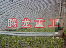 大棚花卉供暖設(shè)備、大棚卉采暖設(shè)備、大棚花卉取暖設(shè)備