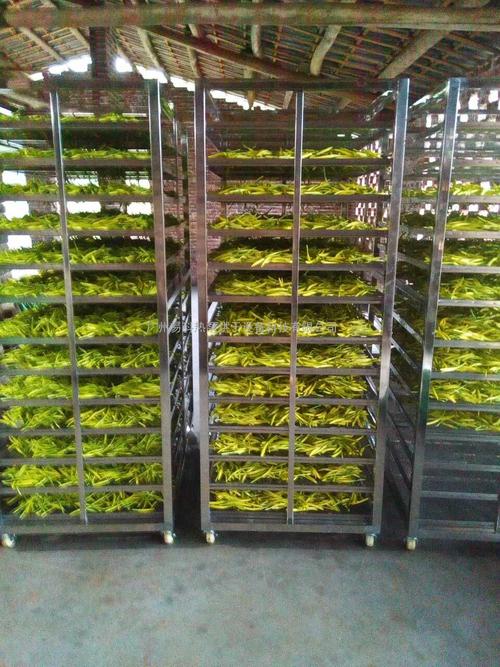 黃花菜烘干機(jī)、黃花菜烘干設(shè)備、黃花菜干燥機(jī)、黃花菜干燥設(shè)備、